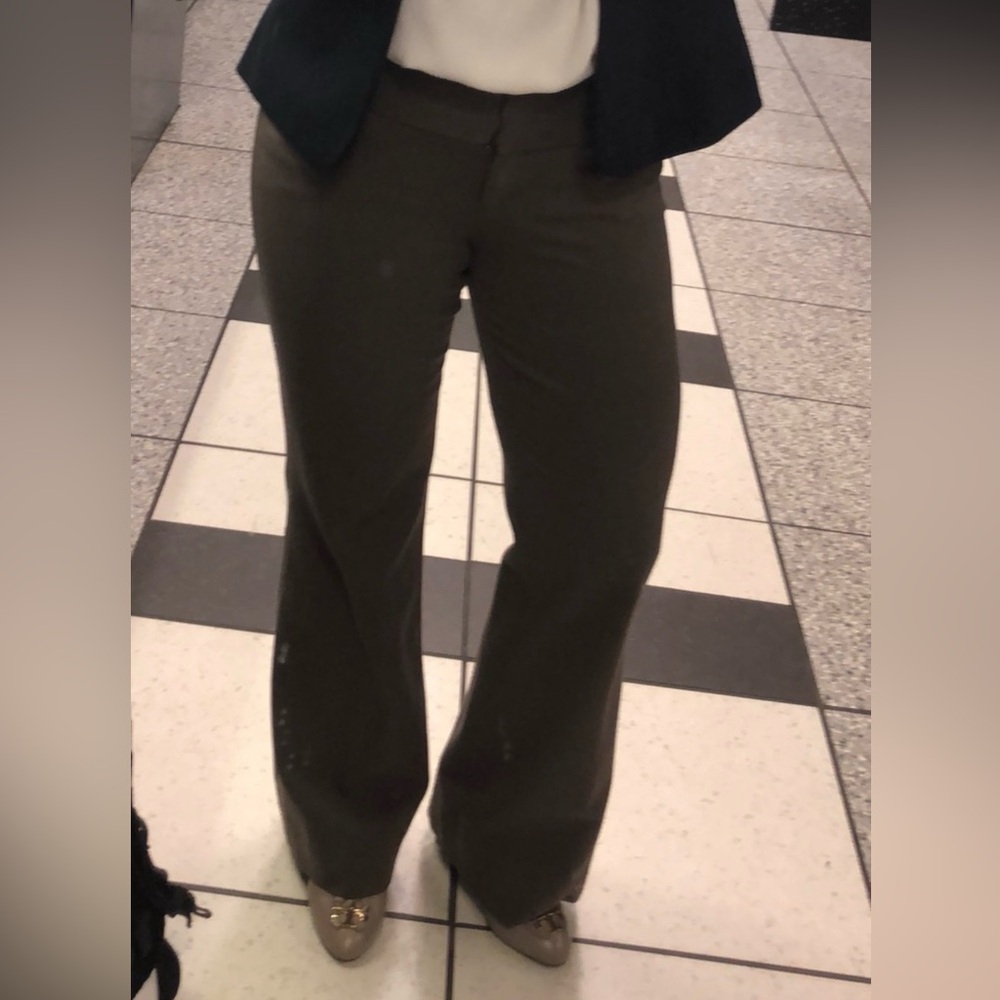 Express Editor Dress Pants (Brown)